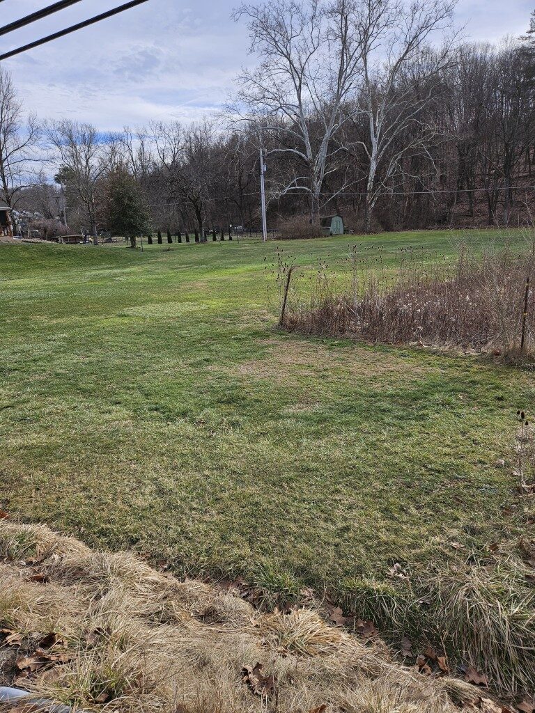 A grassy area shows where the proposed Pomeroy Landing complex would go.