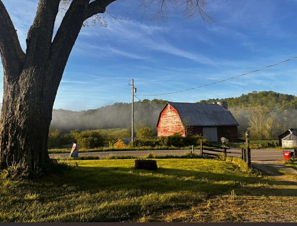 A view of a faded red barn surrounded by fog and greenery.