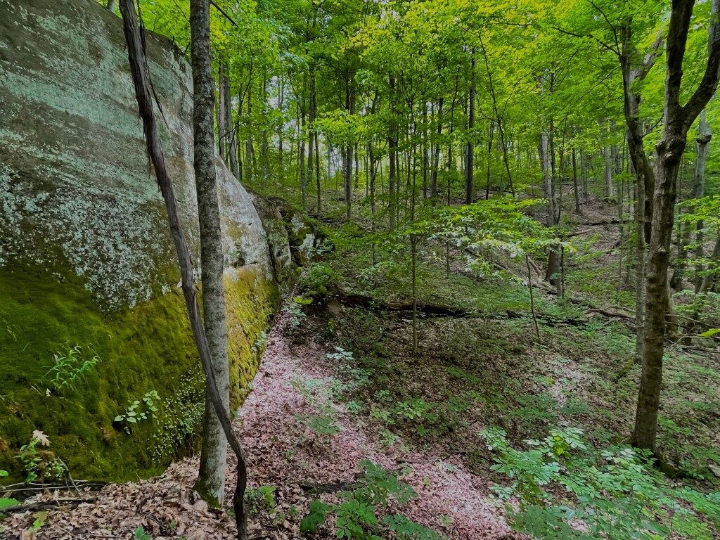 Photos of the preserve. 