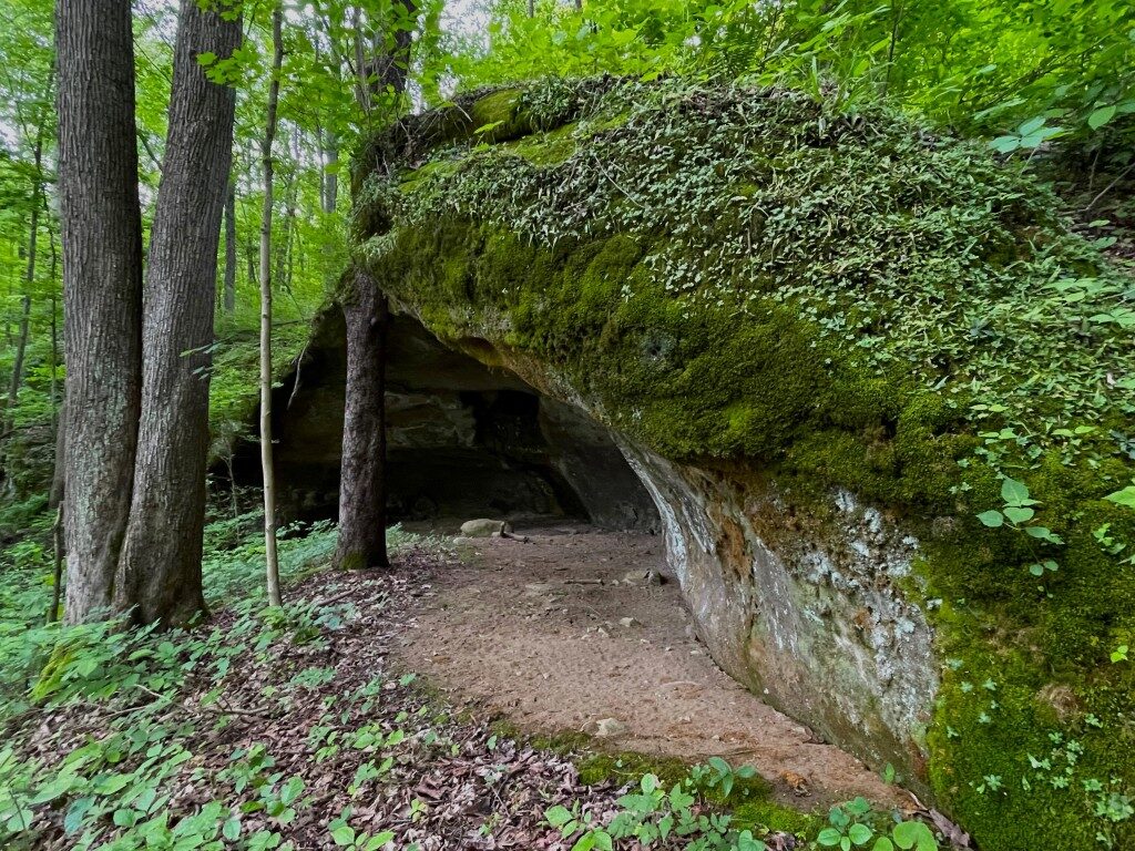 A photo of a mossy recess cave.