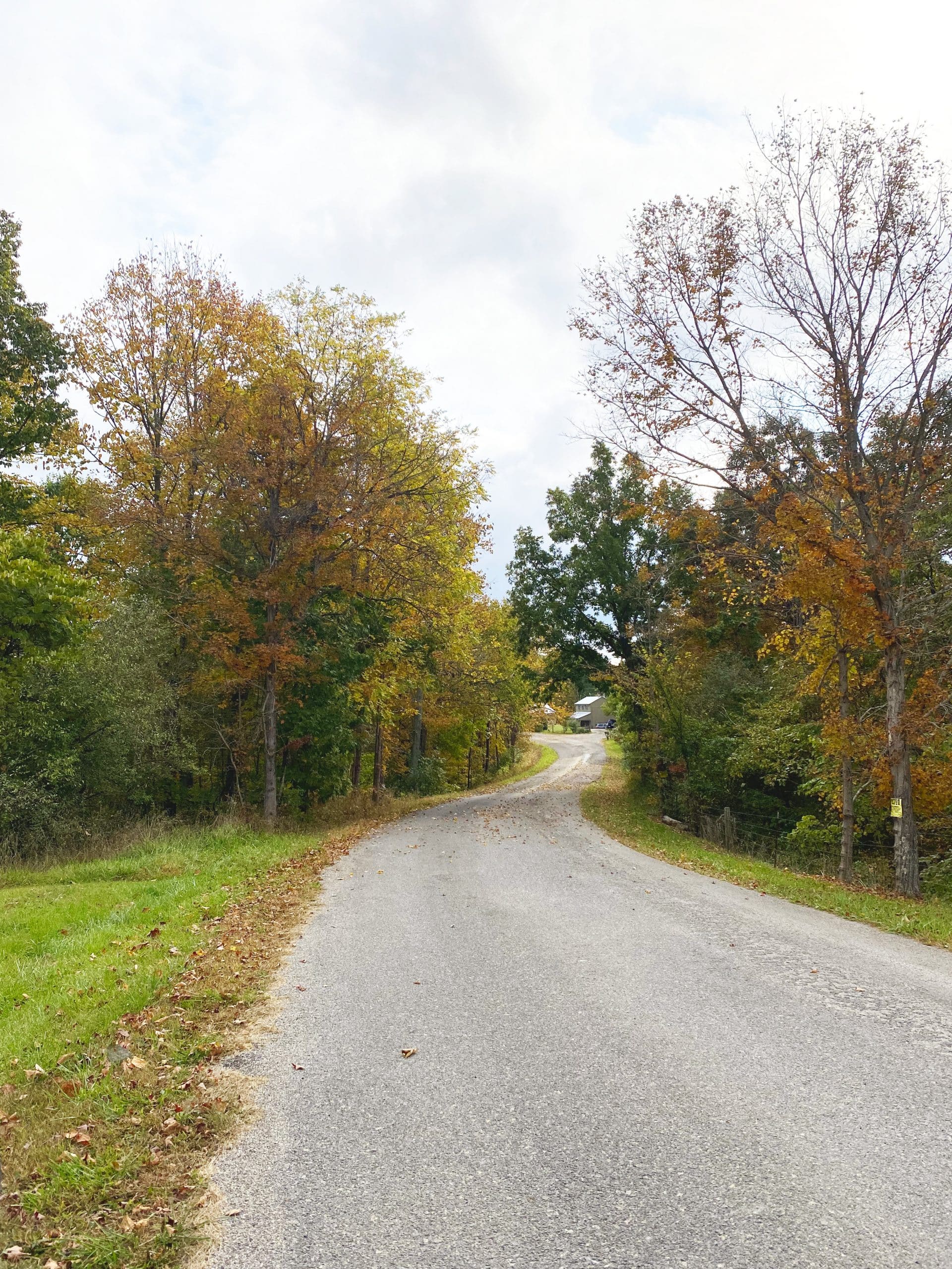 Fall colors in Athens county