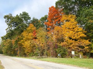 What to do in Athens County this fall (Updated)