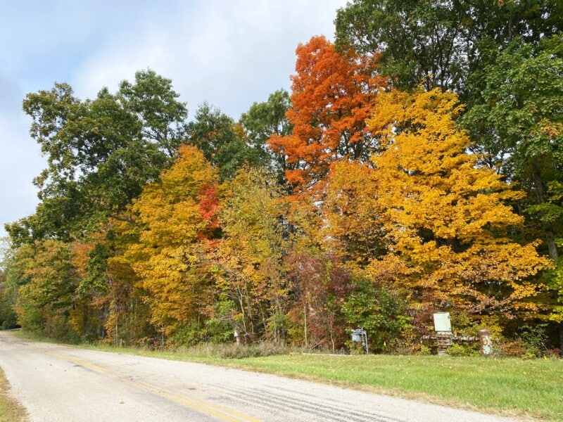 Fall colors in Athens county