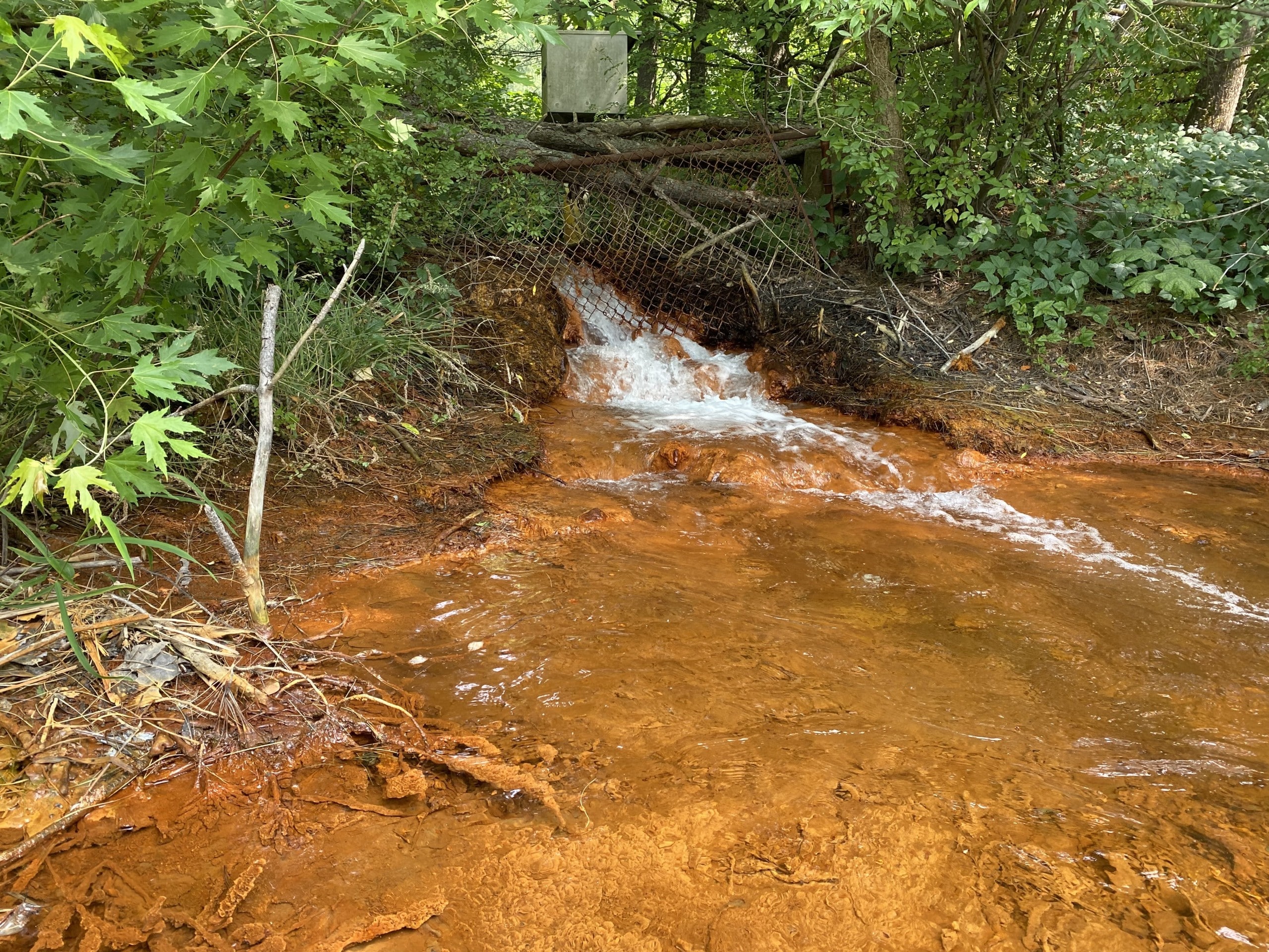 Water rushes through a rusted metal gate surrounded by lush green plants, then pooling bright orange at the head of a stream.