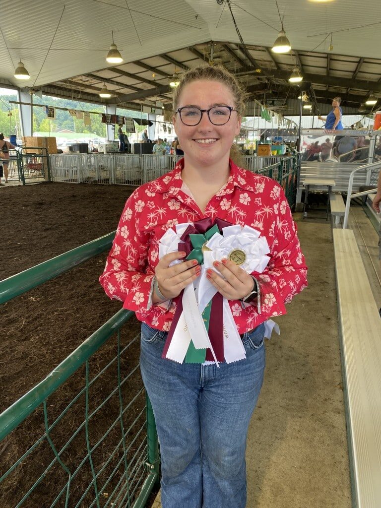 Children guide pigs into gated enclosures.