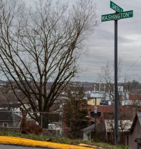 Photo of the Week: Jan. 22, 2024