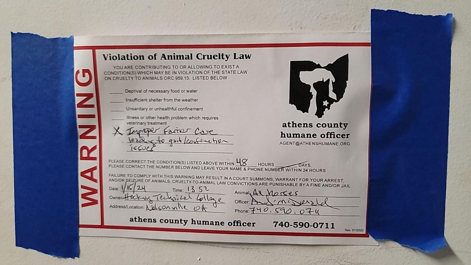 hocking-horses-saga-v0-xsddvor49ucc1