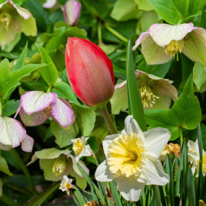 Hop over to April’s seasonal events in Athens County