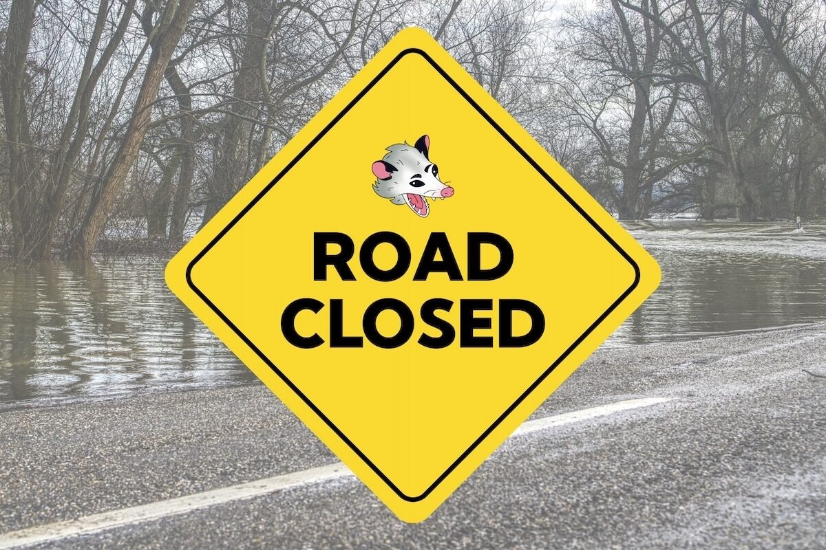 RoadClosedFlooding