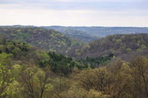 Wayne National Forest accepting public comments on fracking assessment