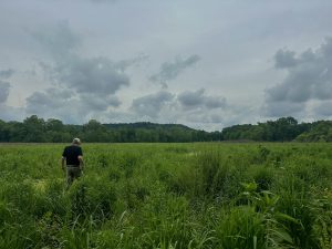 American Eel Preserve aims to host elusive species
