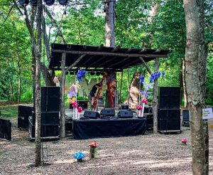 Photo gallery: Nelsonville Music Festival 2024