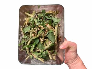 Home, Cooking: Green Beans Made in a Most Unusual Fashion