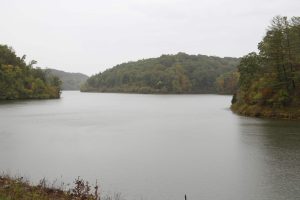 Diversity in journalism revenue streams: a reality check