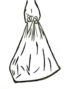 Inside Courts: Appeals court curtails local authority in plastic bag ban case