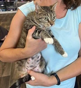 Cat of the Week: Letty