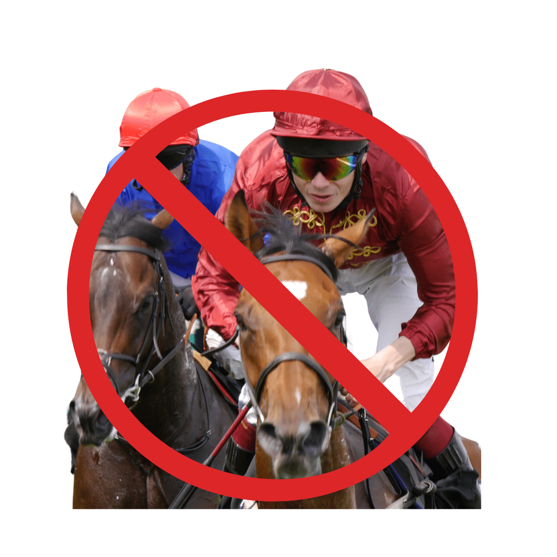 No horse races