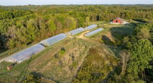 Jackie O’s is selling its farm