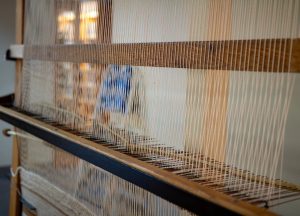 Photo of the Week: Oct. 30, 2024