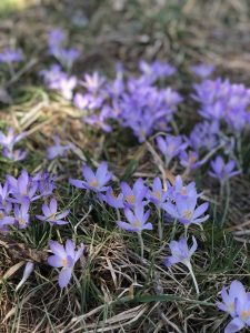 Photo of the Week: March 10, 2025