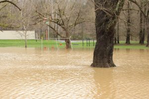 Nonprofits, governments cleaning up Trimble floodplain