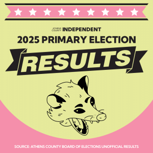 2025 primary election results