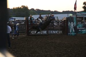 Photo gallery: Rodeo at the 2025 Athens County Fair