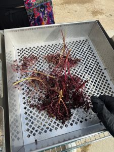 Photo of the Week: Aug. 20, 2025