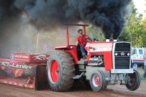 Albany Independent Fair returns with fireworks, frog jump