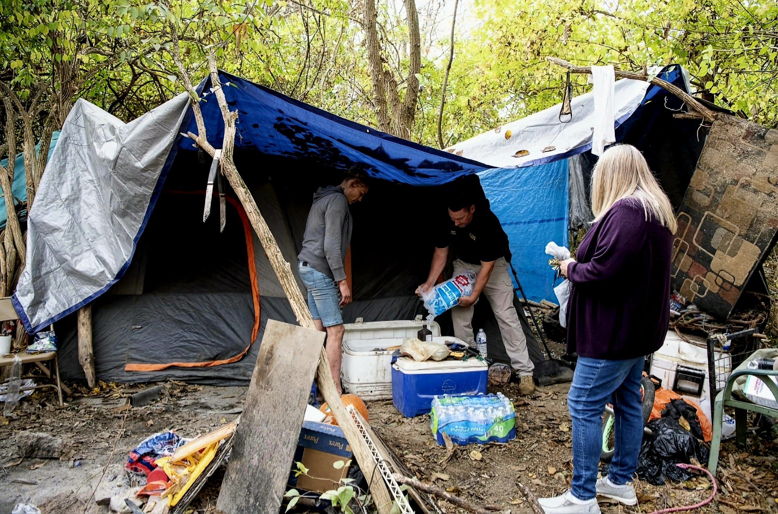 Integrated Services Joanna Denny 2