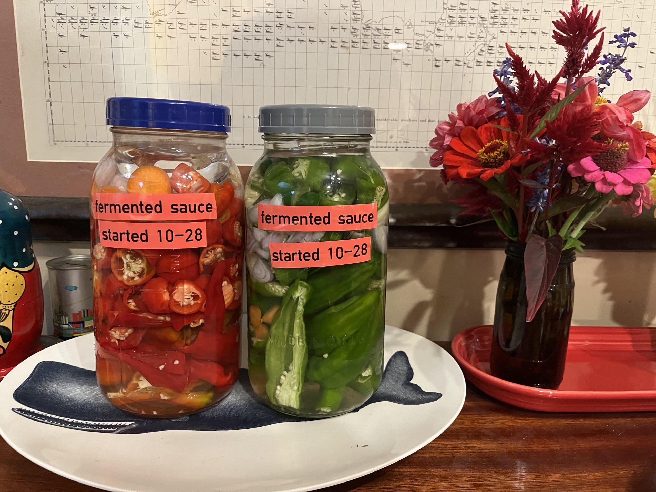 Fermented vegetables