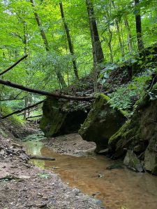Athens Conservancy establishes Joy Valley Nature Preserve (Updated)