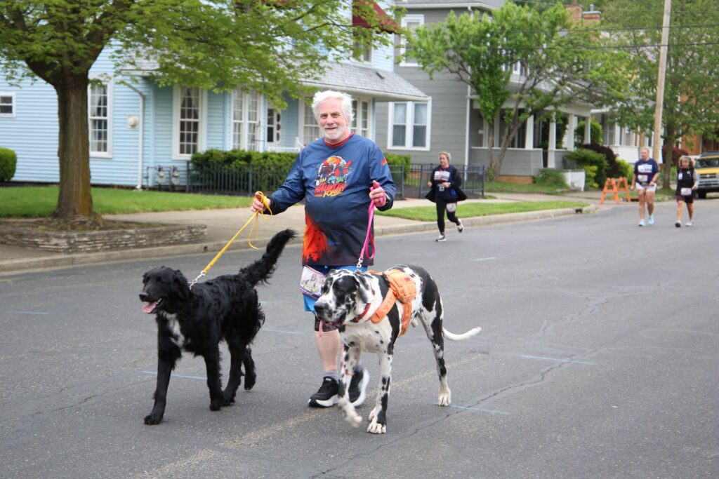 A man walks two large dogs down the street.