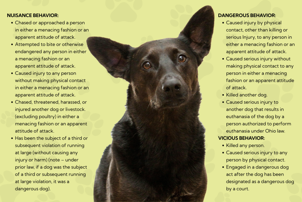 Cómo la ley de Avery afecta a los perros del condado de Atenas