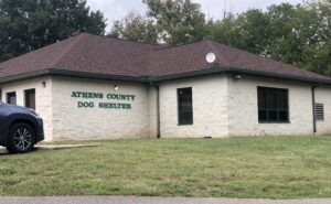 How Avery’s law affects Athens County dogs