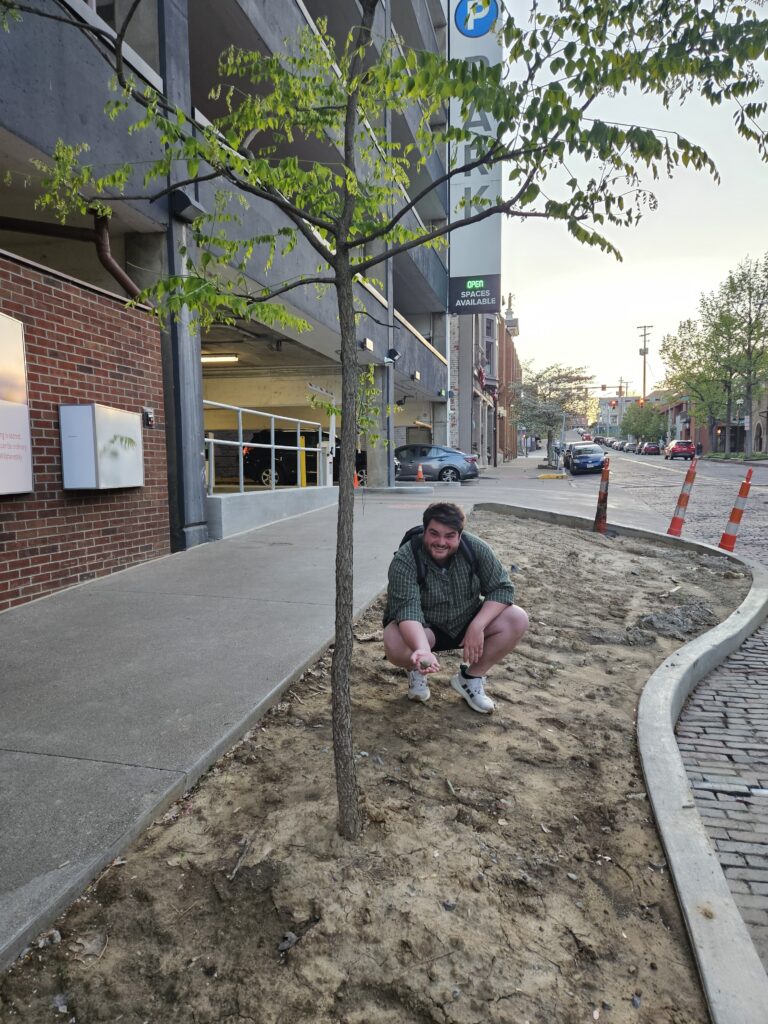 Tristan Kinnison, chair of the city Shade Tree Commission, said that city administration did not notify the commission about this tree “island,” part of renovations at the Athens Parking Garage.