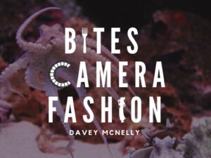 Bites, Camera, Fashion: Octopuses and the people who love them