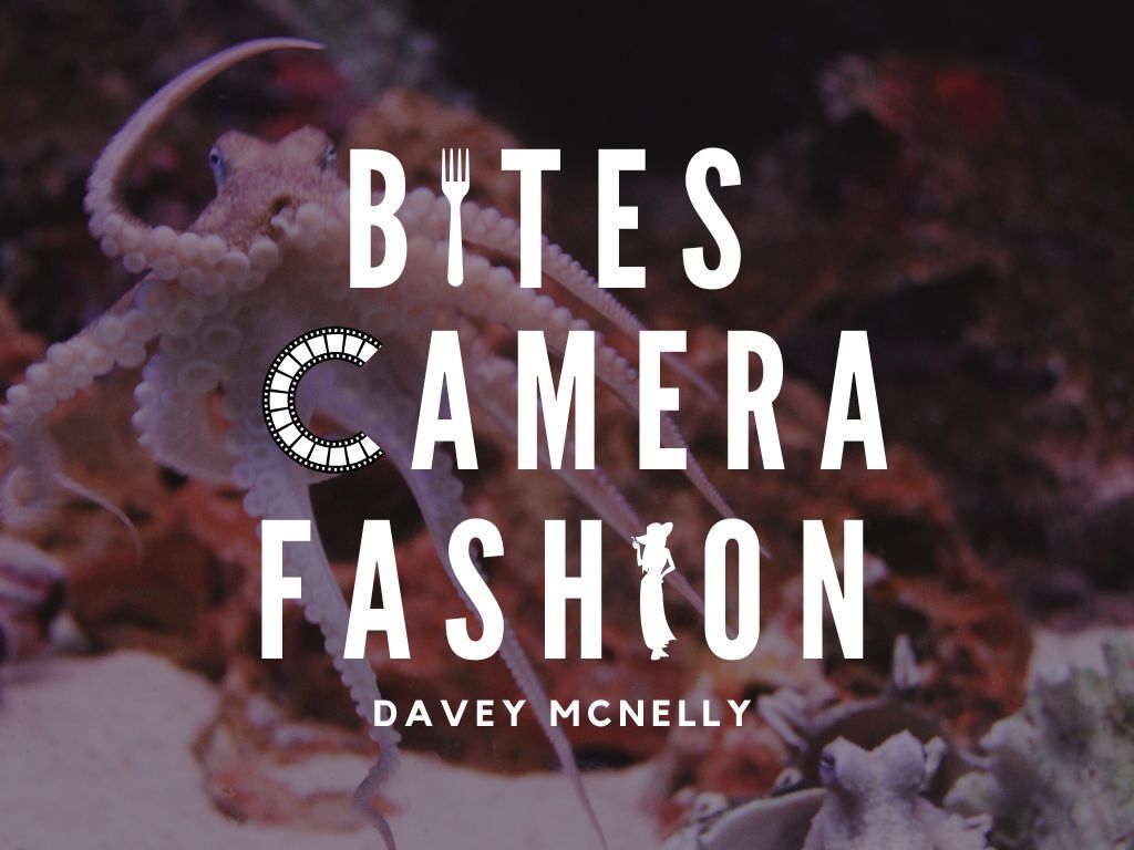 Bites Camera Fashion graphic