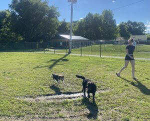 Nelsonville Dog Park now open