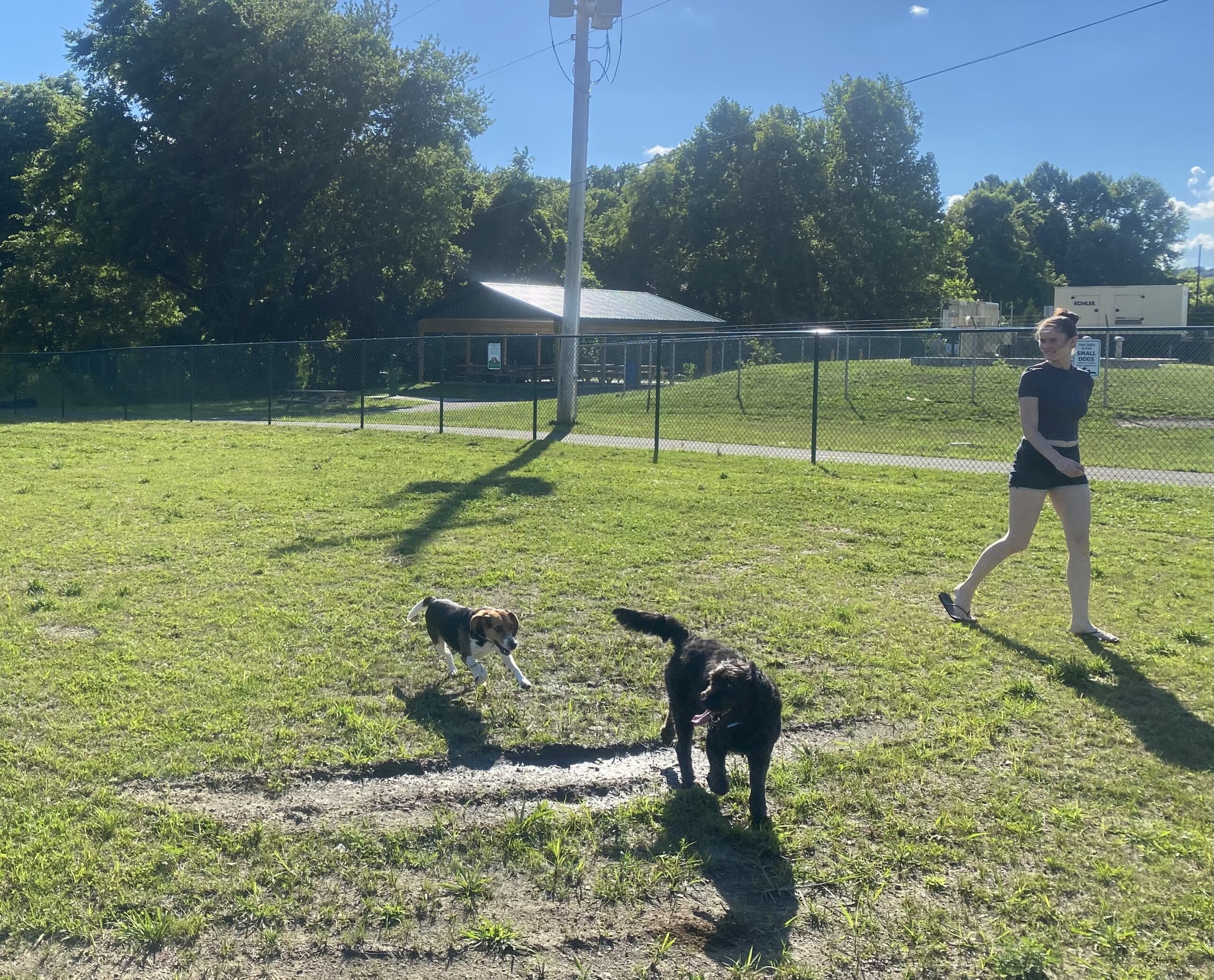 Nelsonville Dog Park