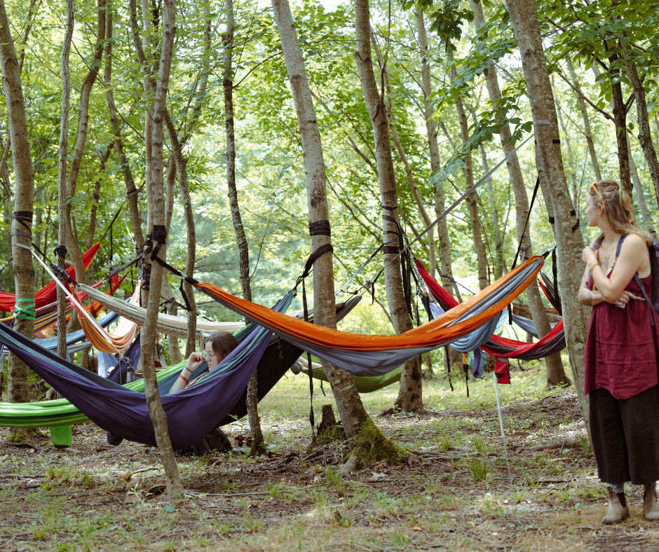 Two people in a wooded hammocking area.