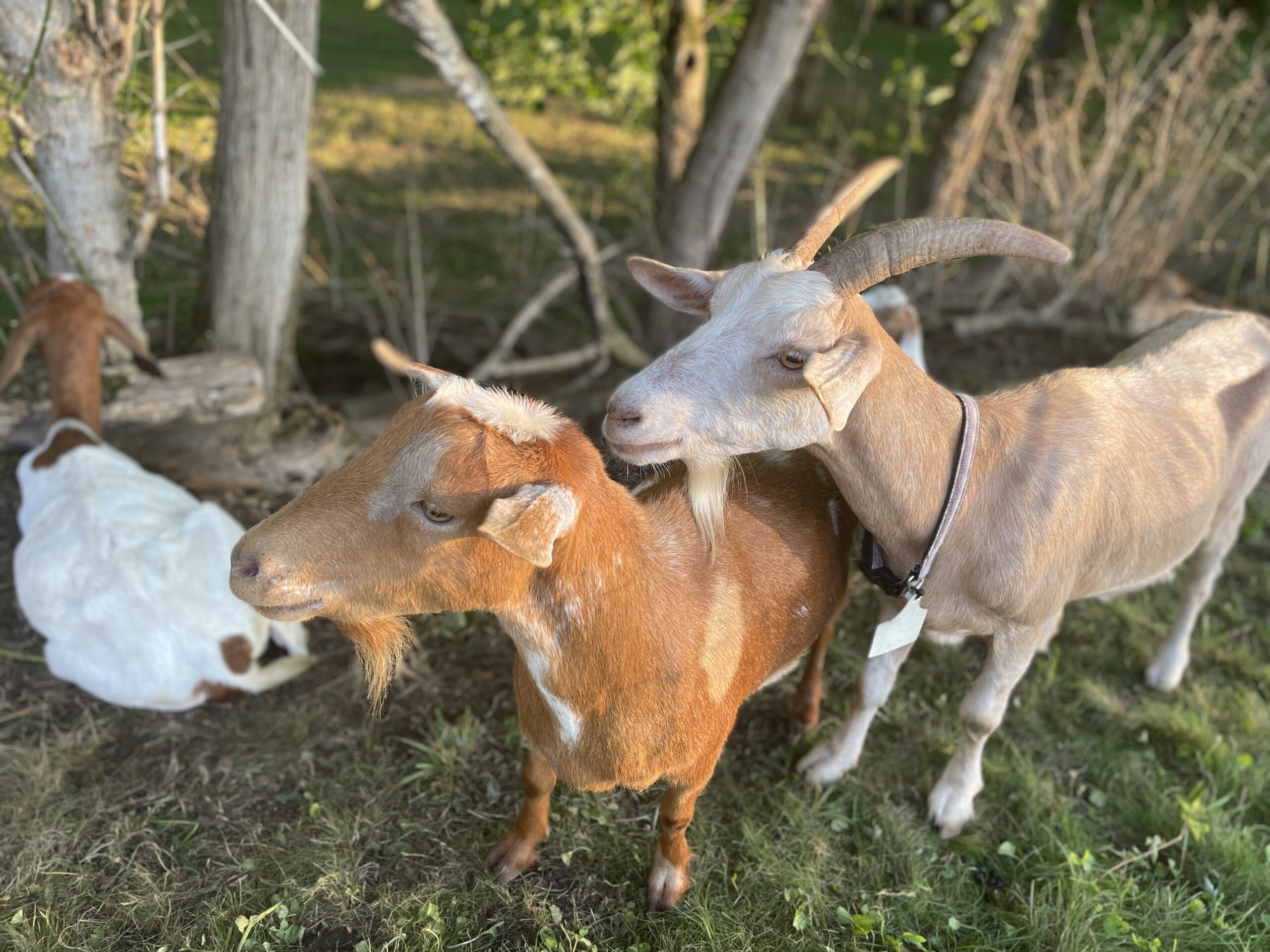 Photo of the Week: Monday, July 13, 2026