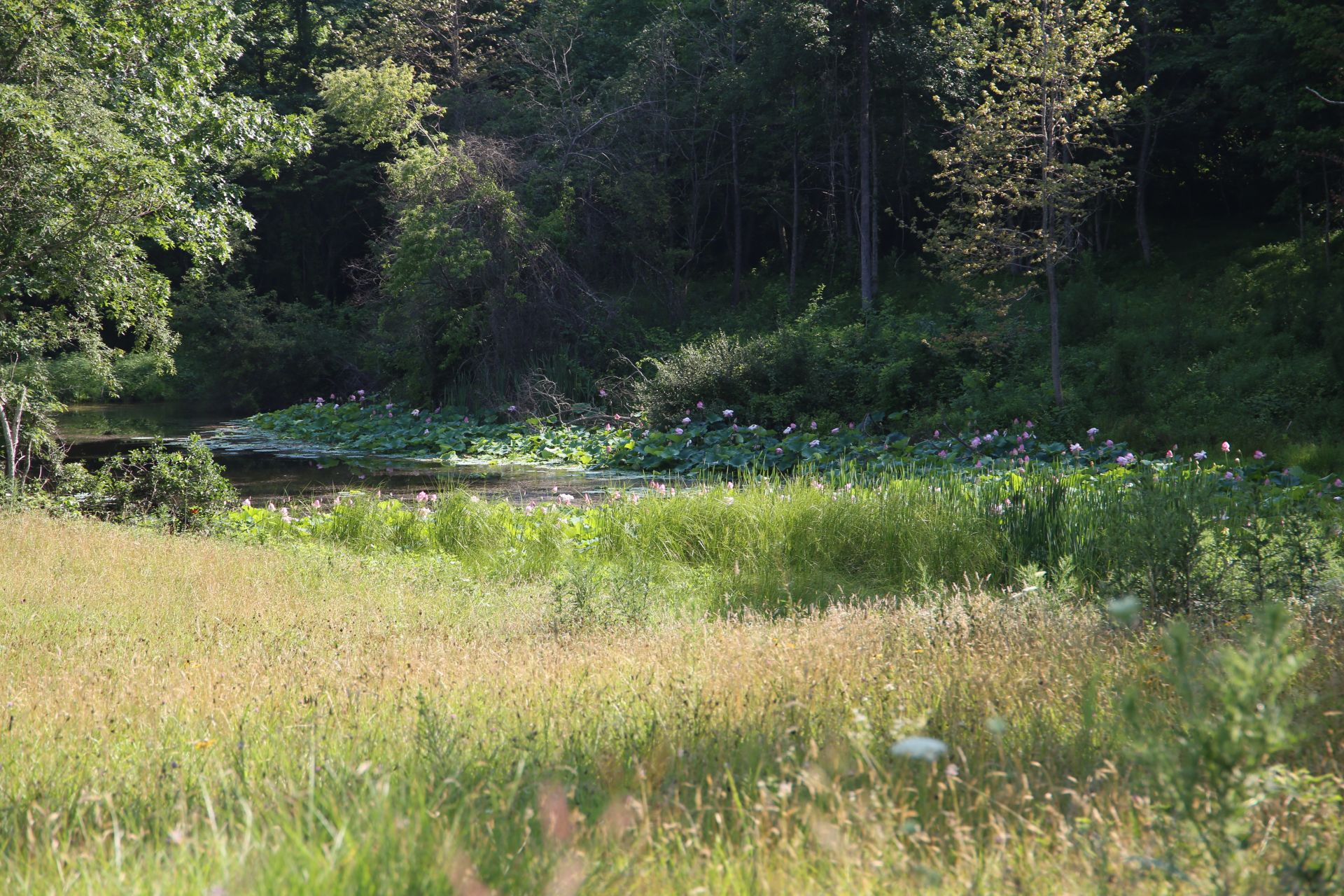 Photo of the Week: June 23, 2026