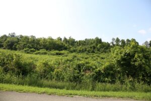 Data centers not part of county economic development plans
