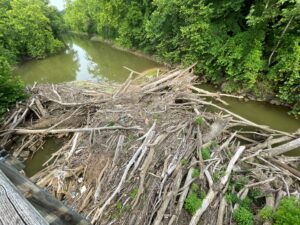 County looking for ways to remove log jam on Hocking