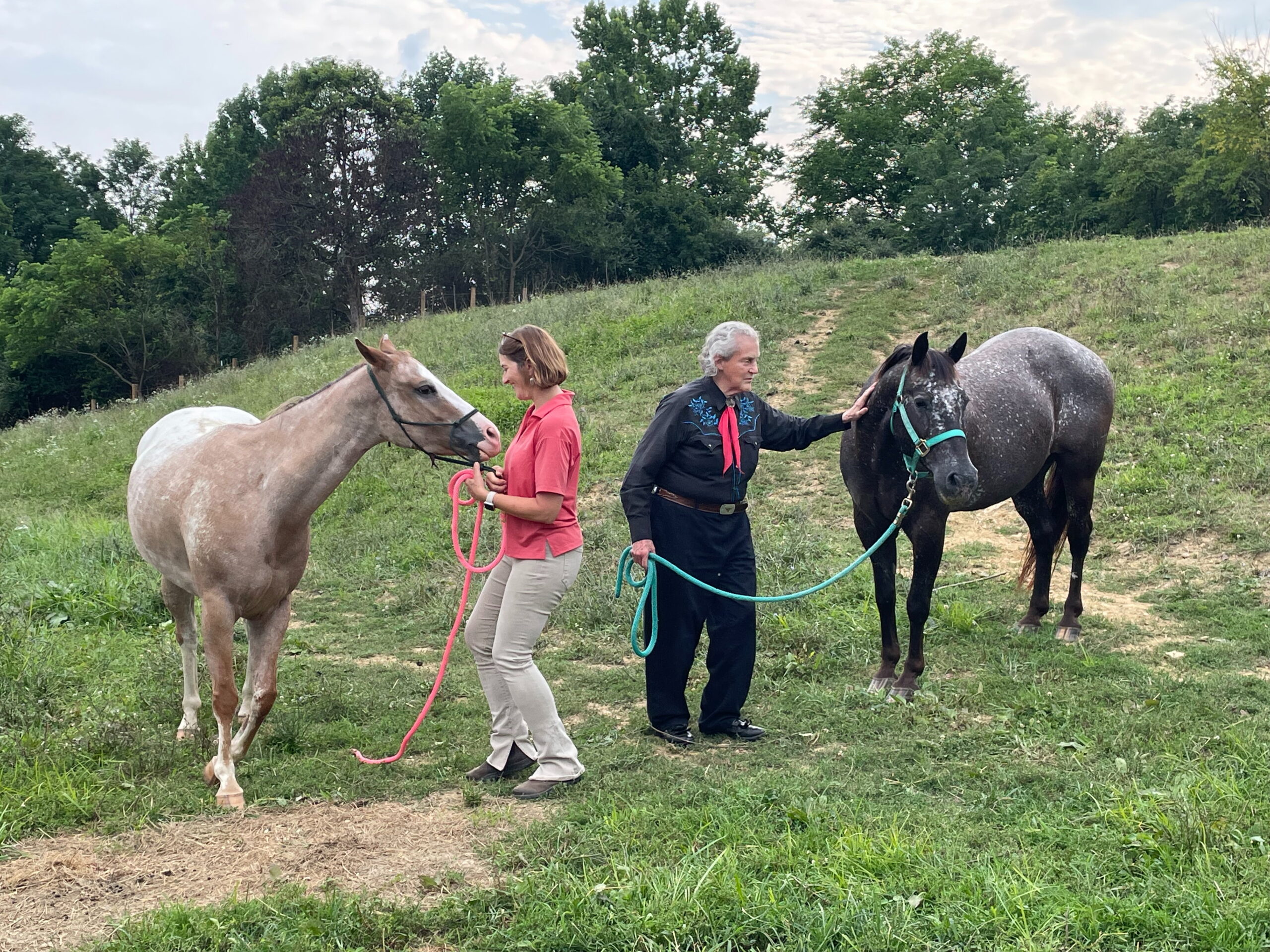 Two people with horses in a field