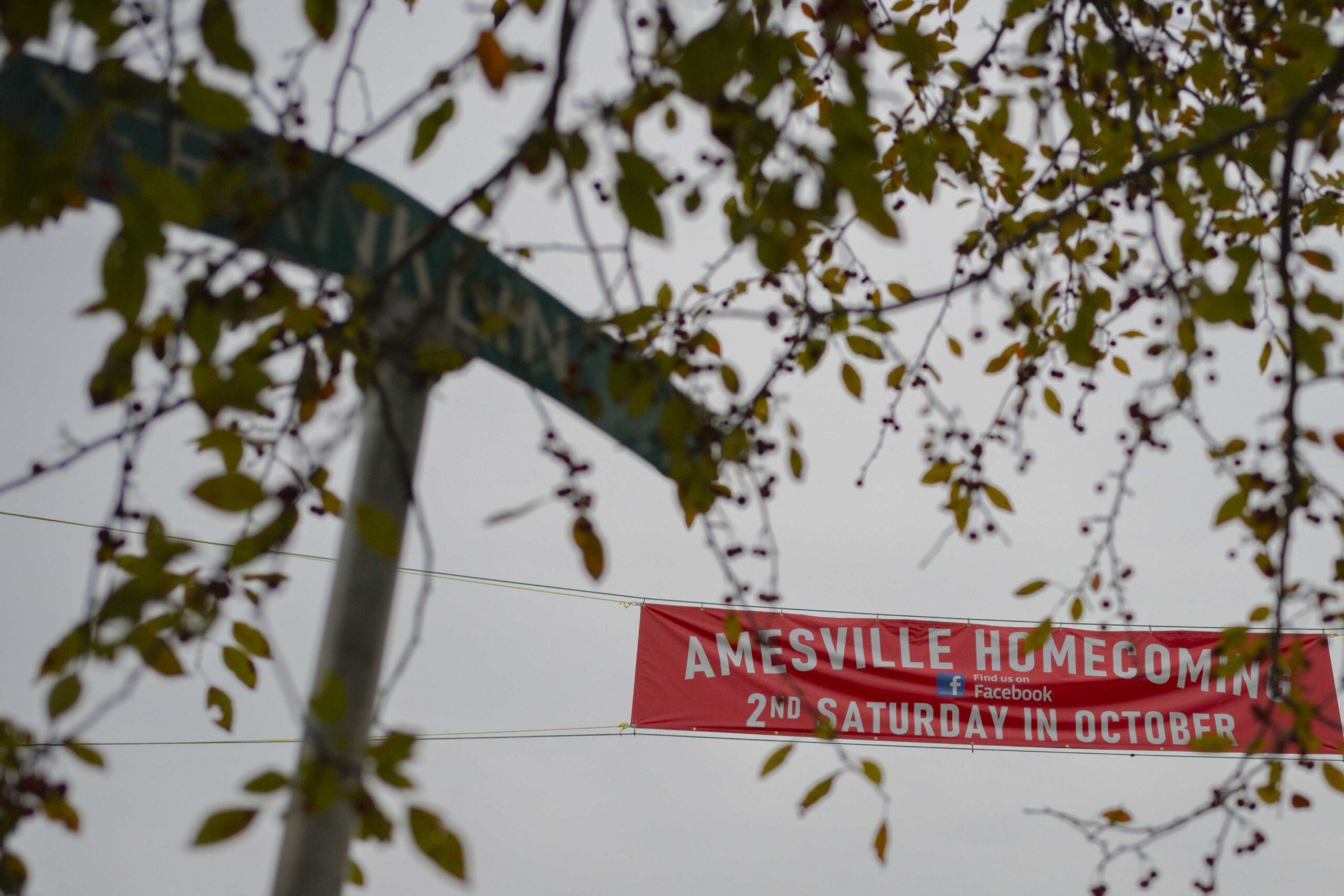 Photo gallery: Amesville Homecoming