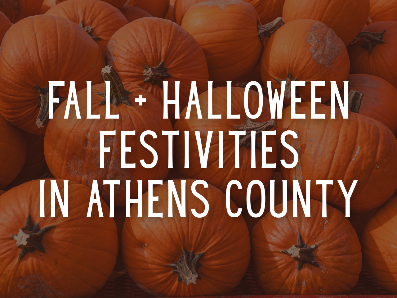 Graphic with pumpkins and overlay text